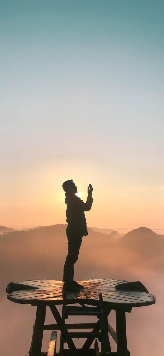 对照台界面截图，三张模型卡片并排，相同参数行淡出、差异行加粗，许可证一栏用醒目底色标出
